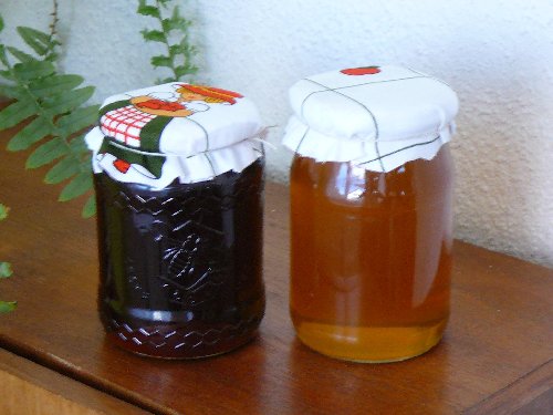 Lesní a květový med